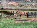 5291 County Road 76 - Photo 28