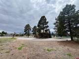 633 Navajo Trail Drive - Photo 16