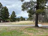 633 Navajo Trail Drive - Photo 22