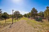 14463 Road 35.9 - Photo 26