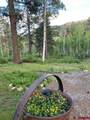 520 Los Ranchitos Drive - Photo 29