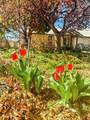 28177 North Road - Photo 30
