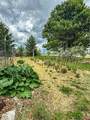 28177 North Road - Photo 32