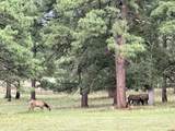 200 Meadow Lane - Photo 7