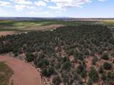 TBDWP County Road M - Photo 21