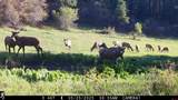 15098 Cr 240 - Photo 35