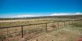 6548 County Road 100 - Photo 24