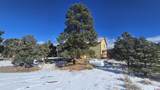 46 Camino Baca Grande - Photo 10
