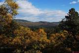 1100 Navajo Peak Place - Photo 44