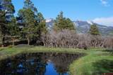 1100 Navajo Peak Place - Photo 45