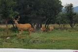 14500 County Road 340 Road - Photo 23