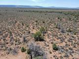 TBD Highway 141 Highway - Photo 12