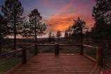 1005 Beaver Creek Ranch Drive - Photo 35