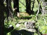 000 Sr 512 Highway - Photo 41