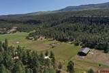 12114 County Road 250 - Photo 45