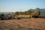 4369 Cattle Drive - Photo 21