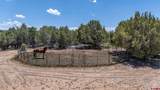 4369 Cattle Drive - Photo 22