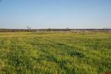 4369 Cattle Drive - Photo 41
