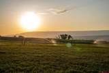 4369 Cattle Drive - Photo 43