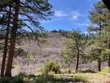 1600(2 Parcels) Elk Ridge Trail - Photo 33