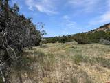 43157 Long Gulch Road - Photo 28