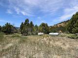 43157 Long Gulch Road - Photo 35