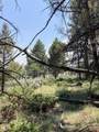 131 Mosquito Trail - Photo 6