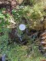 TBD Alice Lode Mining Claim - Photo 9
