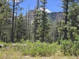 67 Big Pine Trail - Photo 1