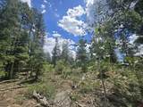 67 Big Pine Trail - Photo 13
