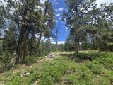 67 Big Pine Trail - Photo 2