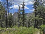 67 Big Pine Trail - Photo 4