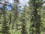67 Big Pine Trail - Photo 5