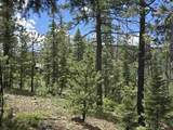 67 Big Pine Trail - Photo 6