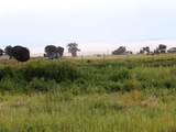 20245 Us Hwy 285 - Photo 6