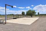 12417 County Road 5 - Photo 25
