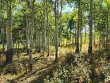 2586 26 1/10 Road - Photo 17