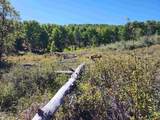 2586 26 1/10 Road - Photo 21