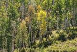 2586 26 1/10 Road - Photo 24