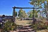 2586 26 1/10 Road - Photo 3