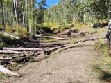 2586 26 1/10 Road - Photo 38