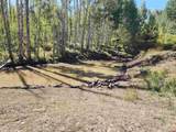2586 26 1/10 Road - Photo 39