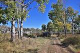 2586 26 1/10 Road - Photo 4