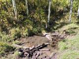 2586 26 1/10 Road - Photo 40