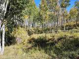 2586 26 1/10 Road - Photo 44