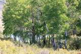 2586 26 1/10 Road - Photo 45