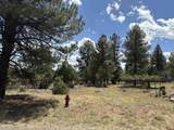 TBD326 Bear Cub Drive - Photo 1
