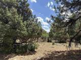 TBD326 Bear Cub Drive - Photo 3