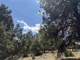 TBD326 Bear Cub Drive - Photo 5