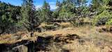 942 Rainbow Road - Photo 12
